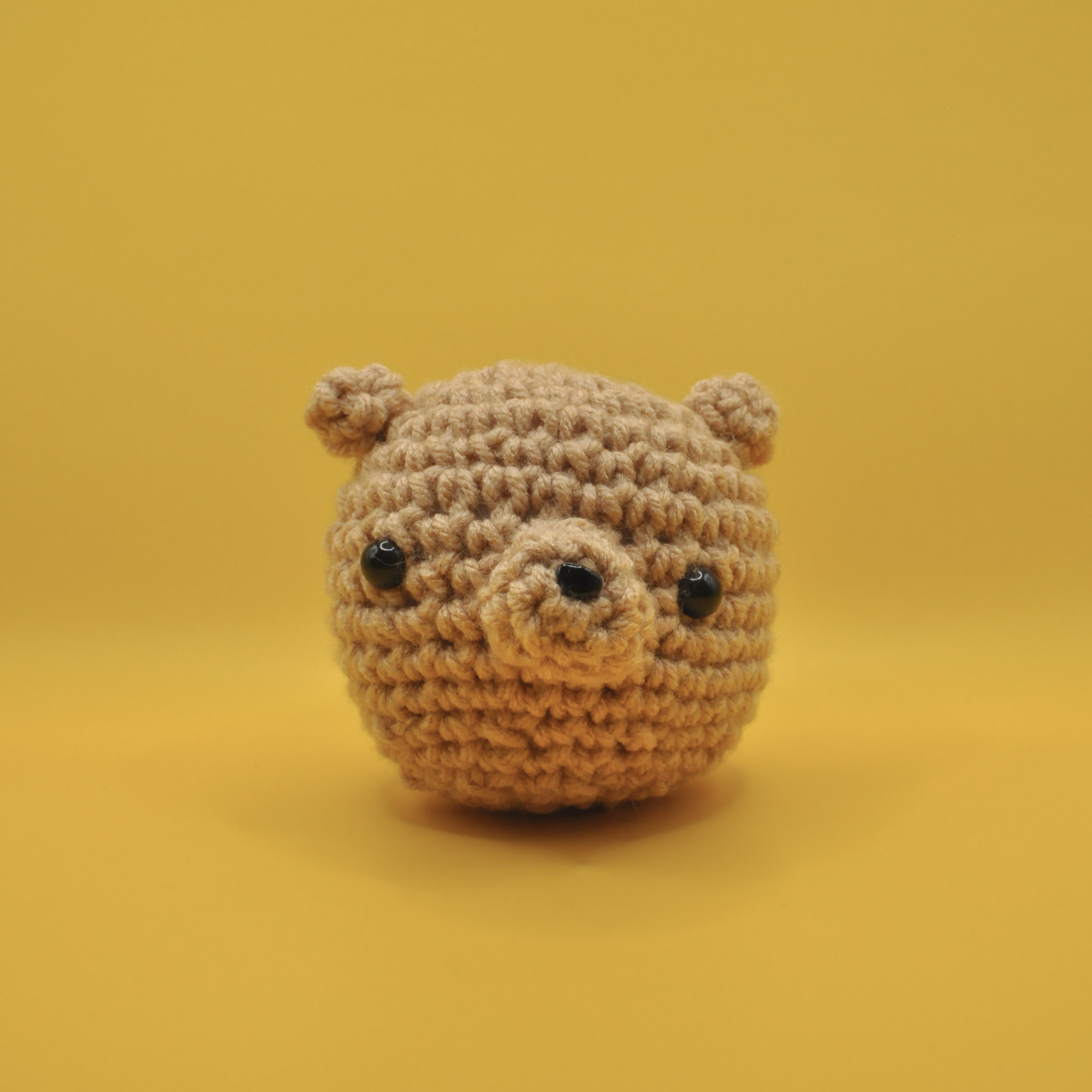 Beary view 2